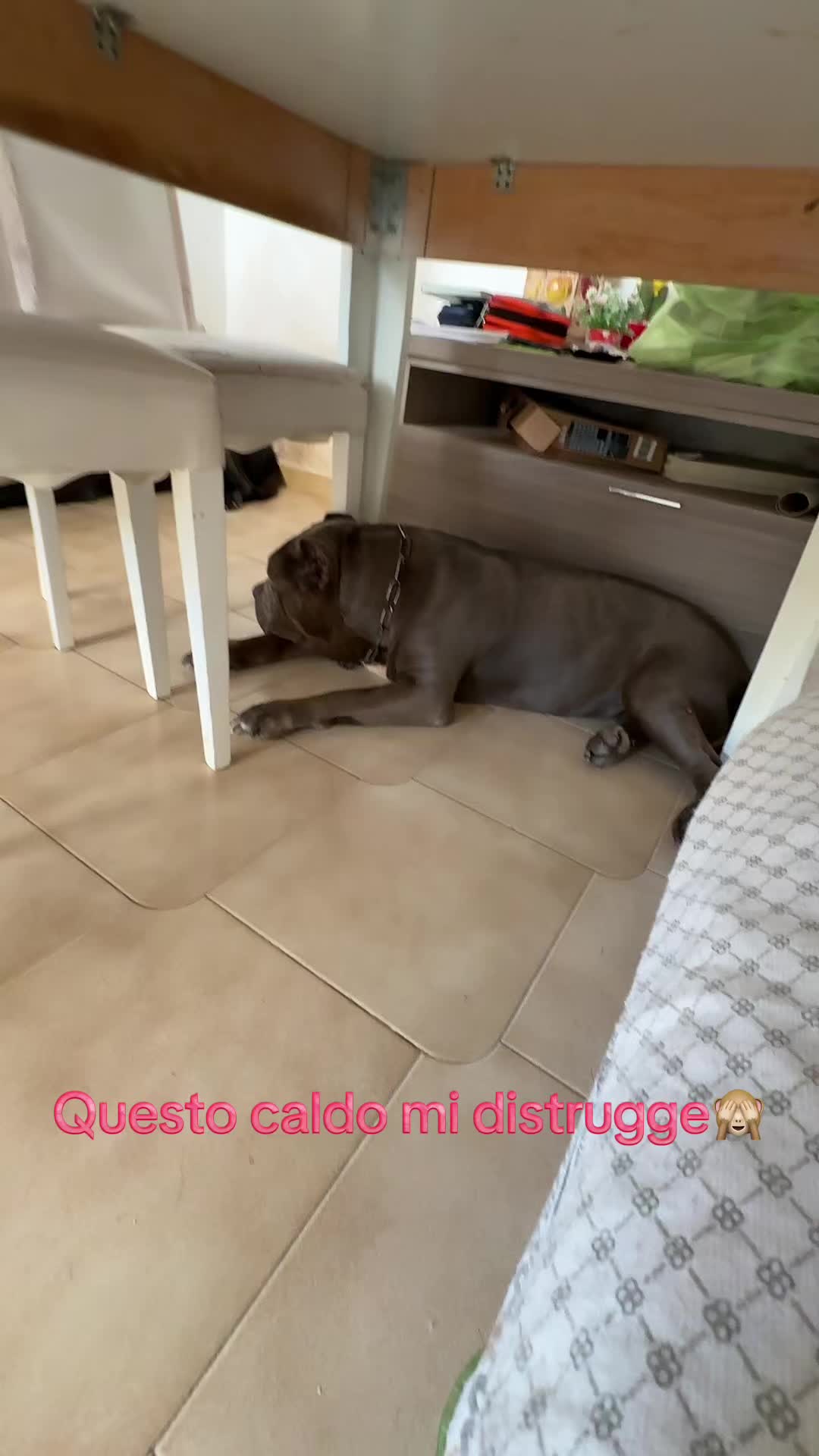 @Vanessa Librando