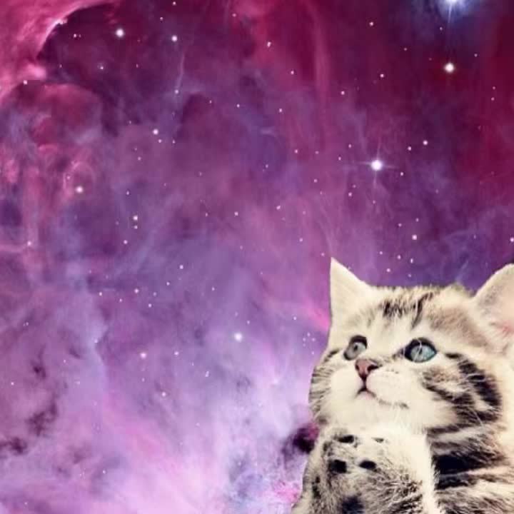 @iseeitthru