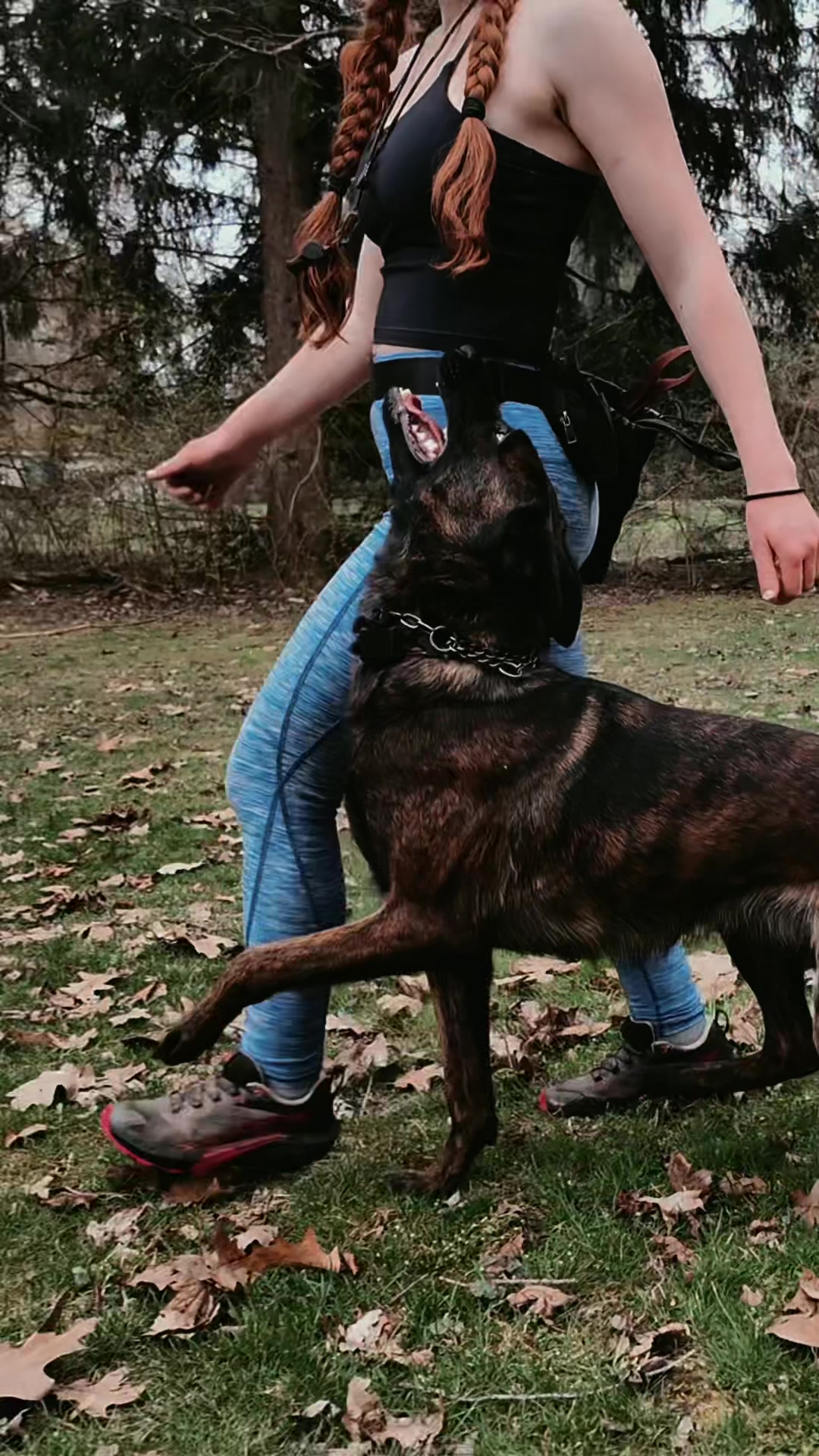 @Divinity K9