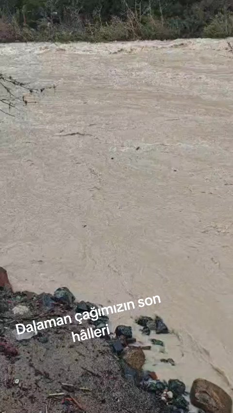 @Güler Kaya