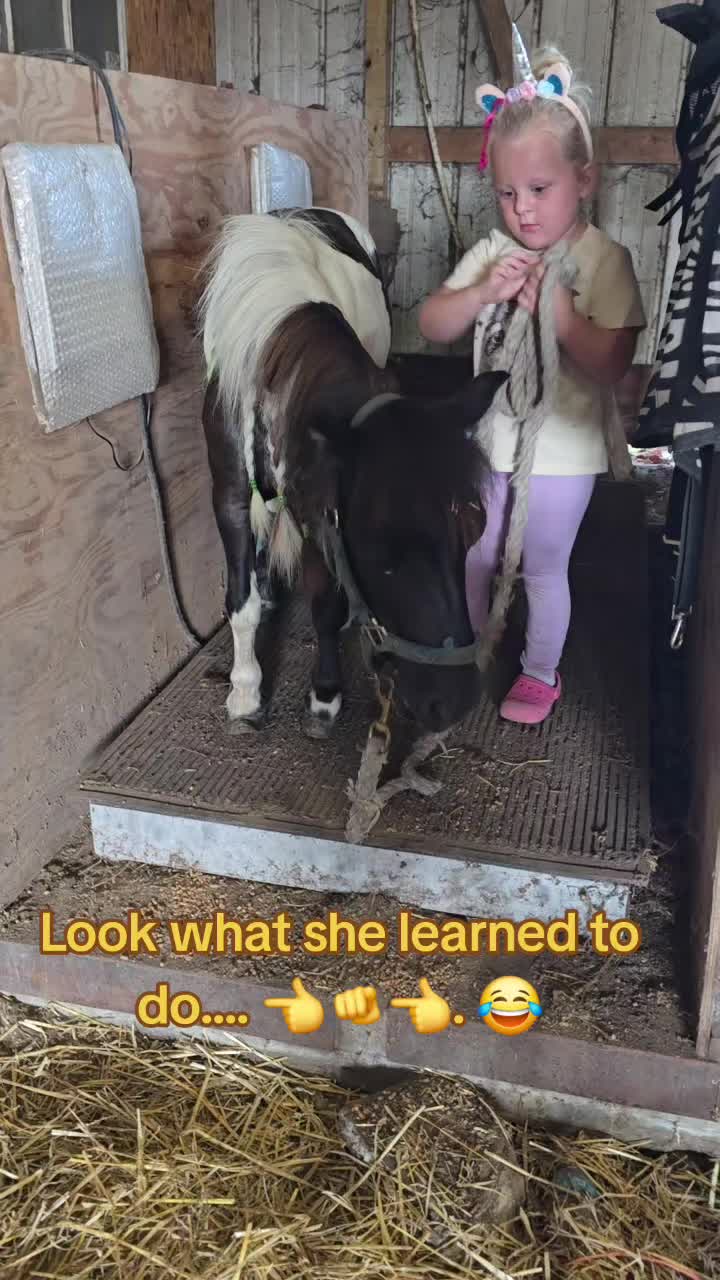 @Small Town Farm LLC