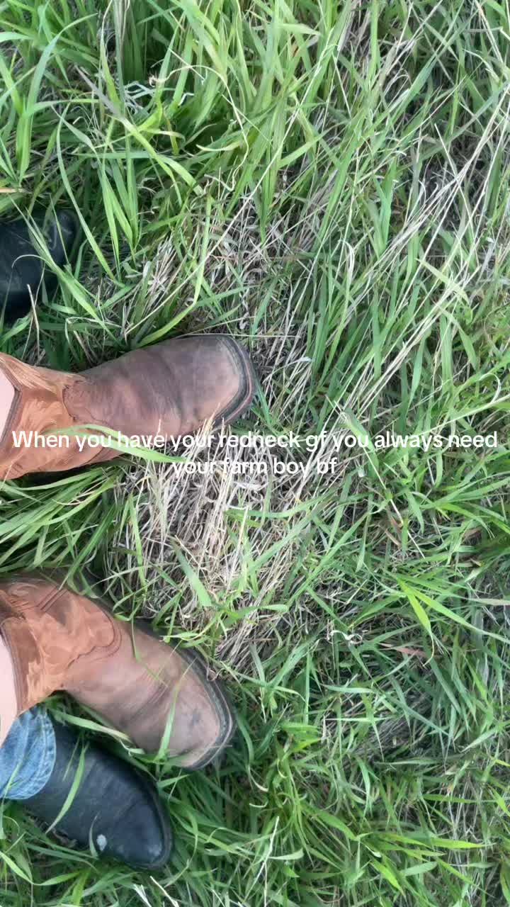 @Brock/dale jr