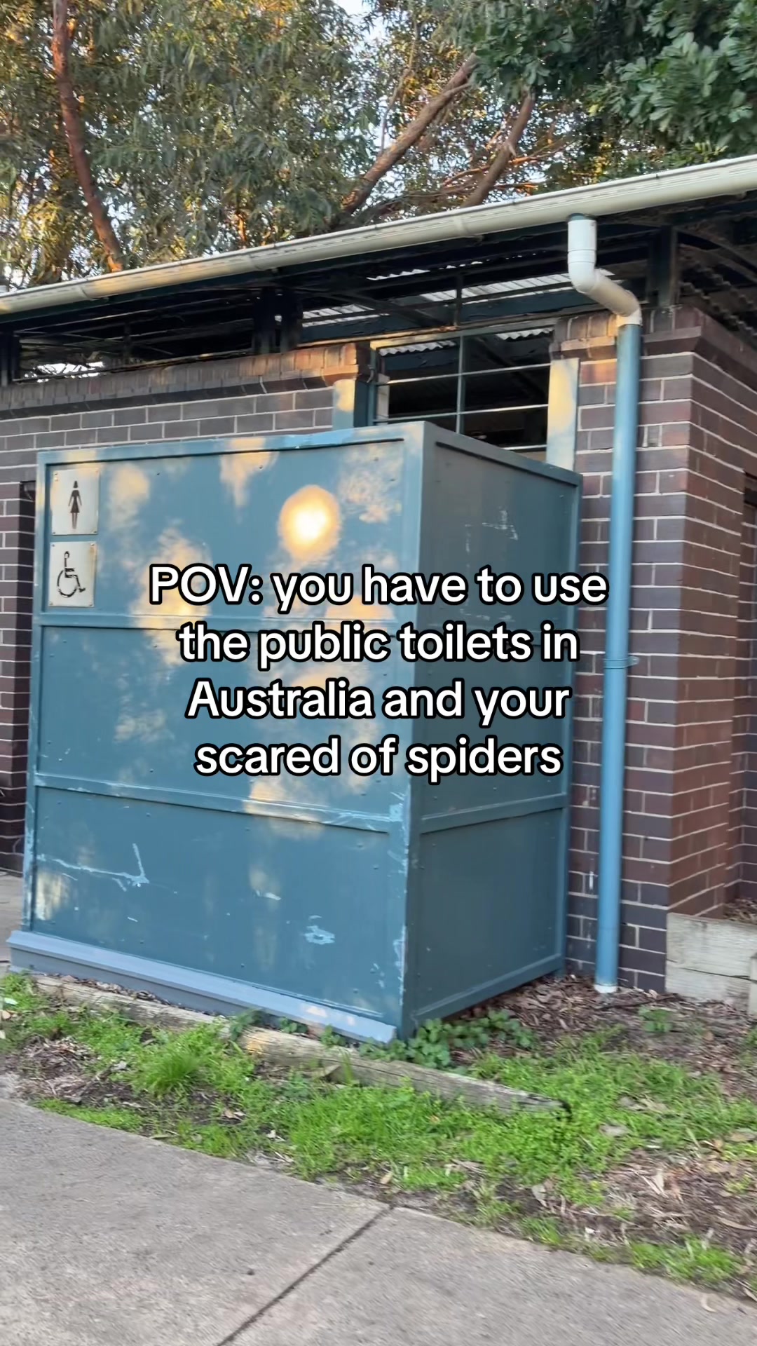 @Becky≽^• ˕ • ྀི≼