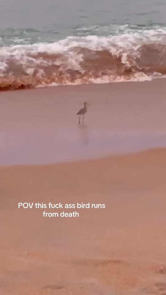@b?