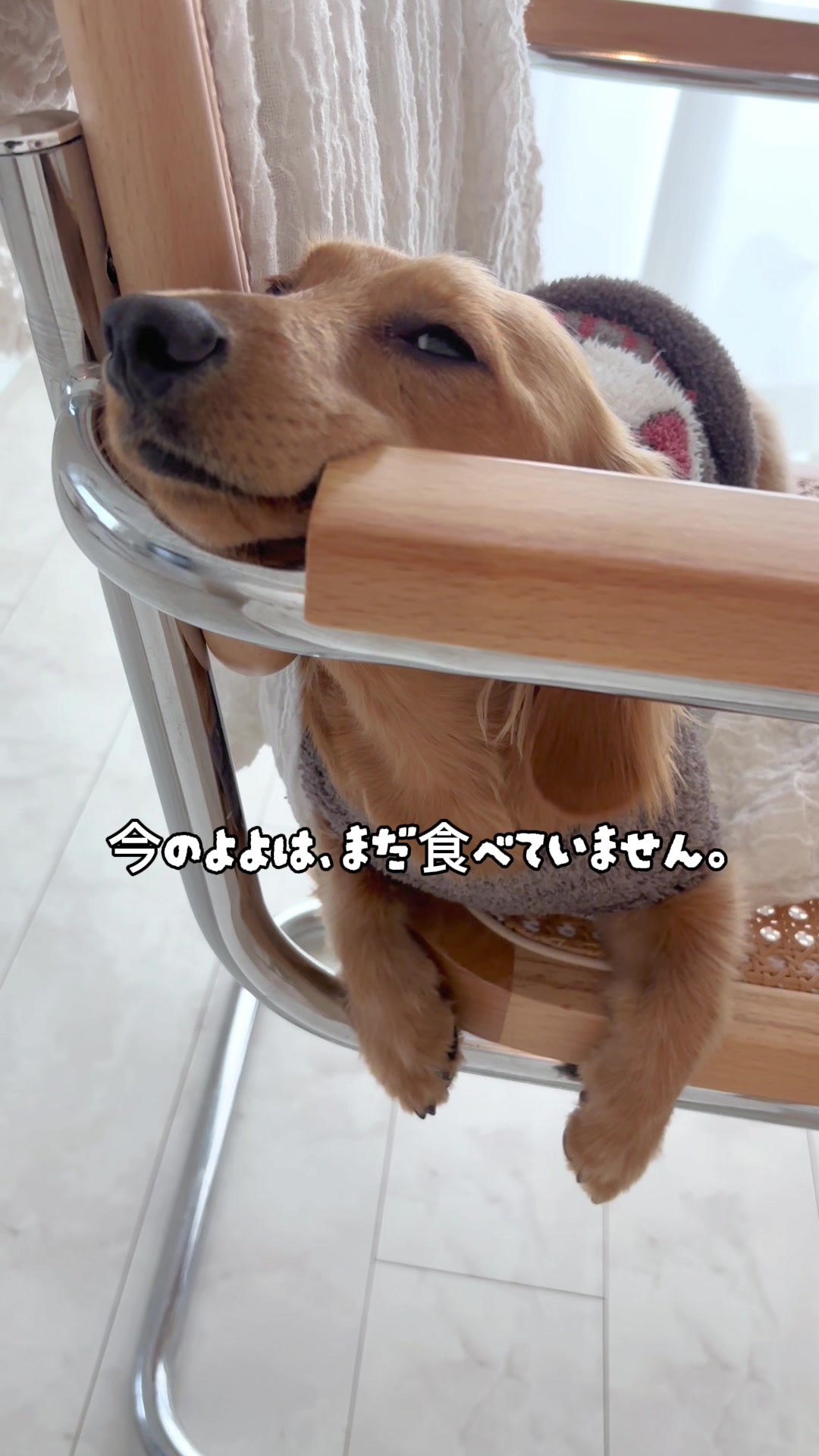 @kuku.yoyo_boy