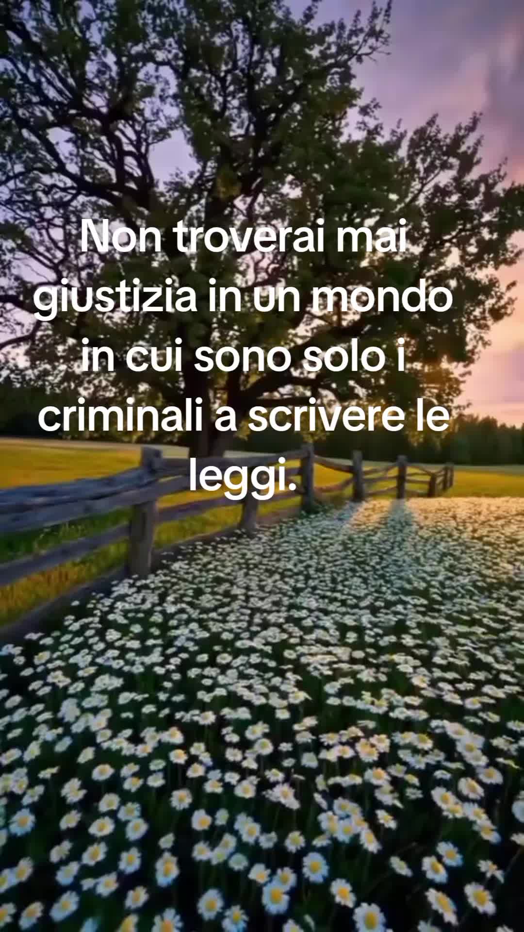 @Lorella.coltro