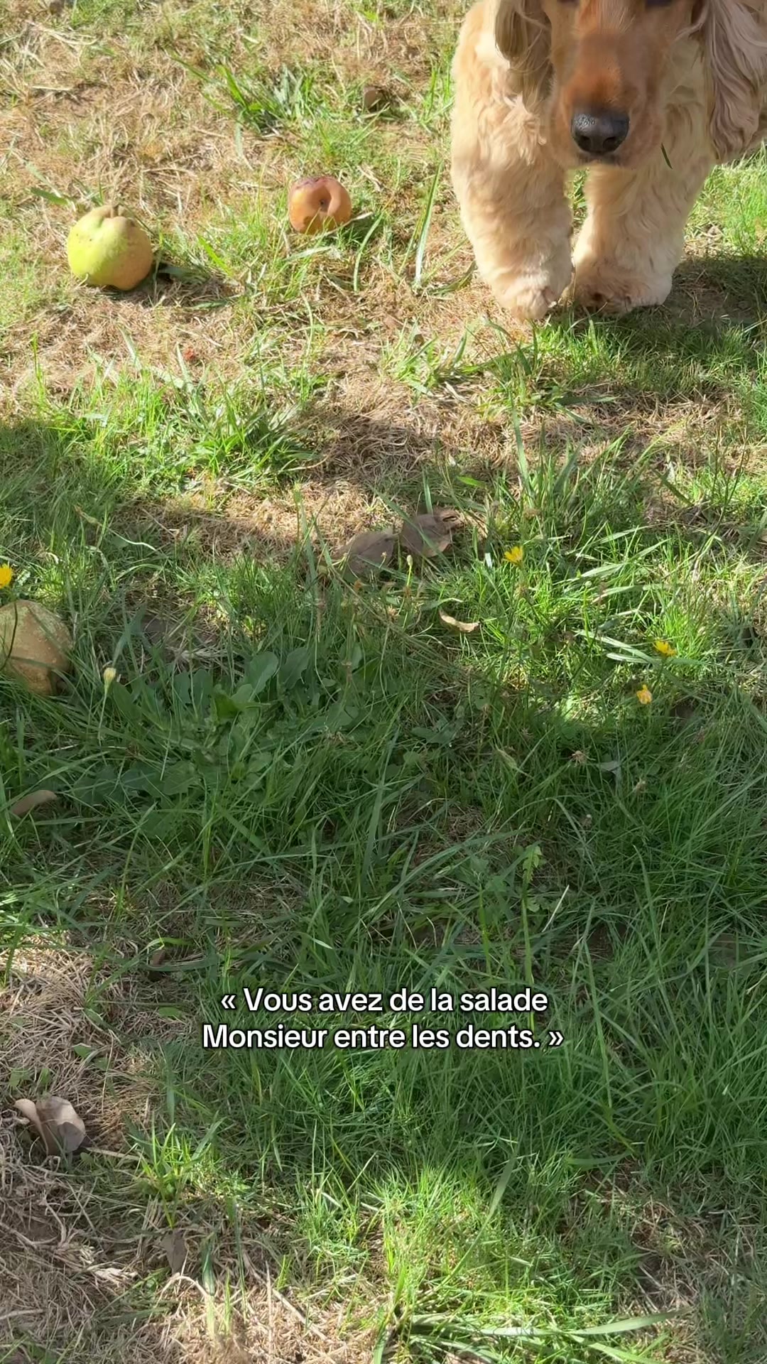 @Margaux 🌸 écolo mais pas que