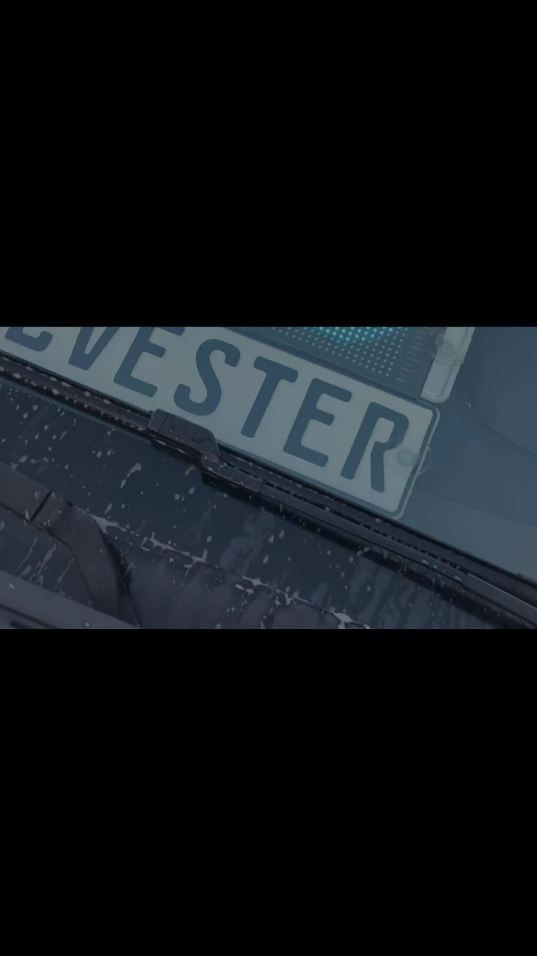 @bf3Sylvester