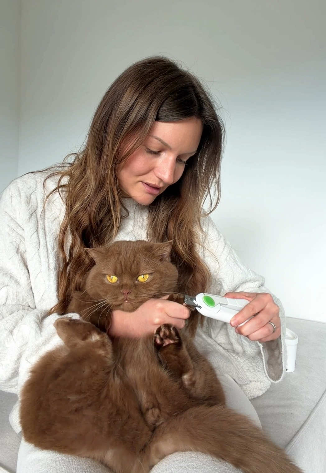 @Sinascolorcats
