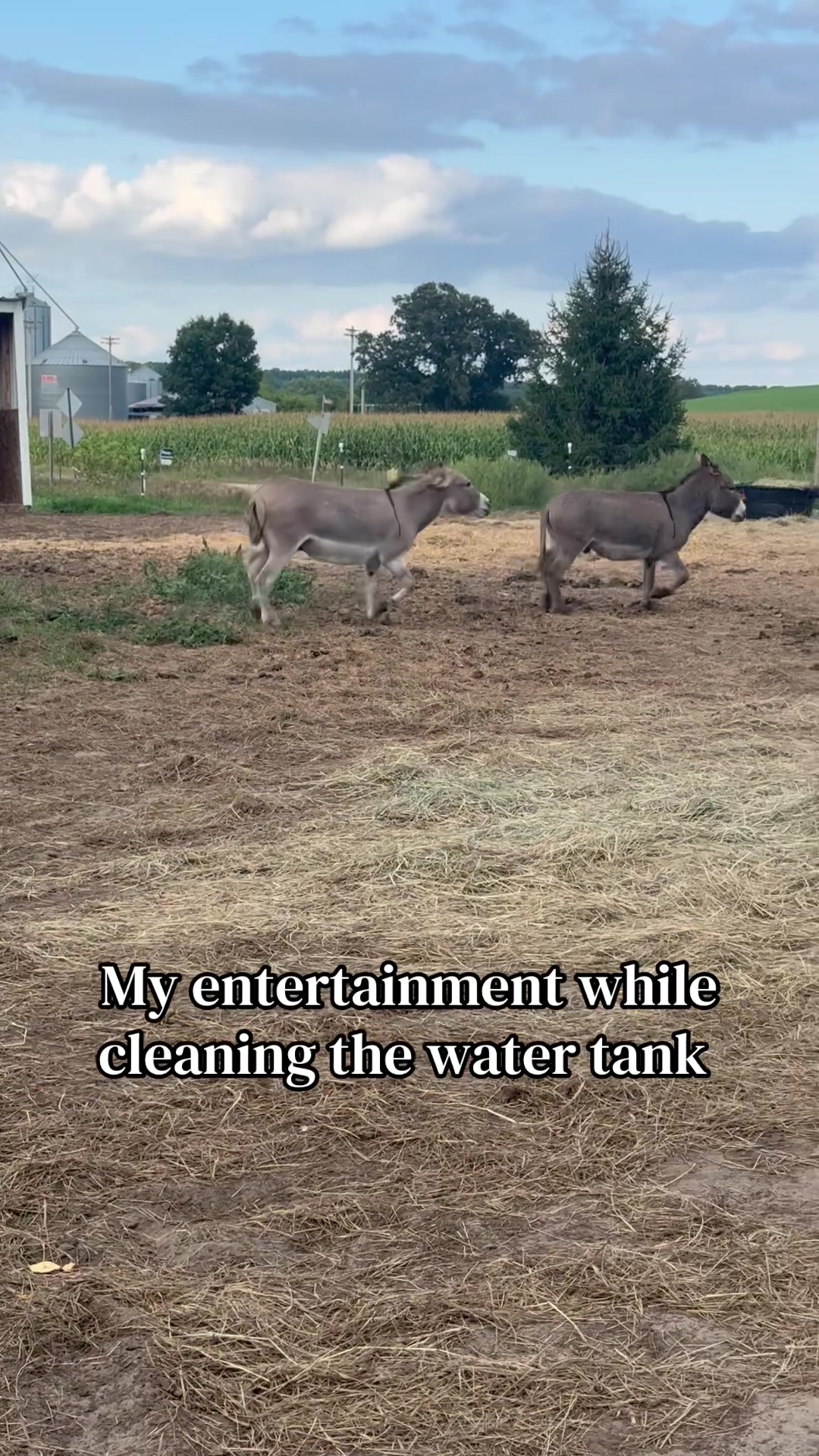 @Safe Place Pastures, Inc.