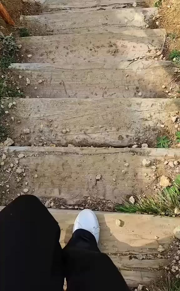 @Su0234.