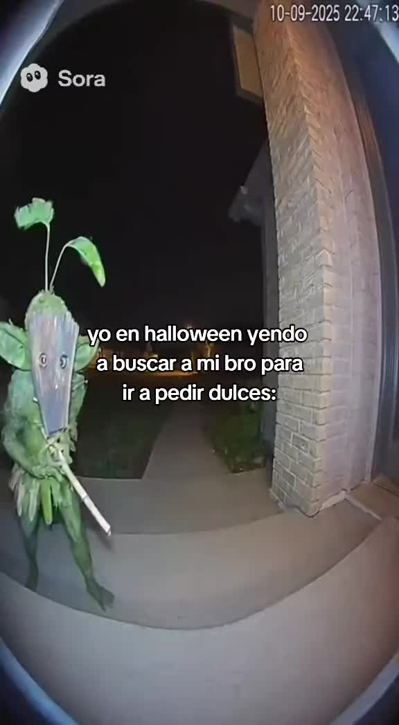 @kael do santos