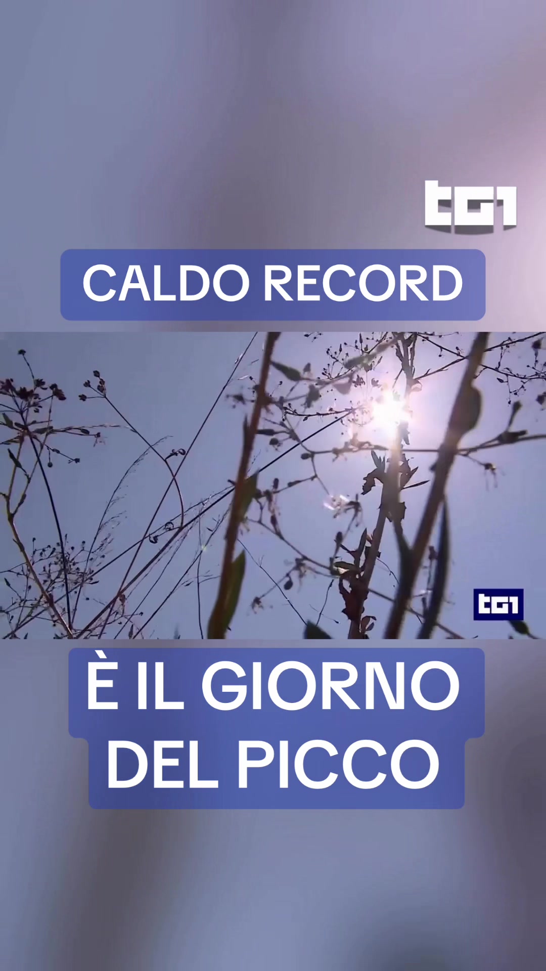 @Tg1Rai