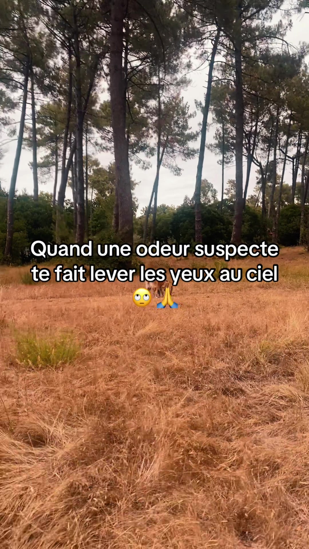 @nathalie..maurice