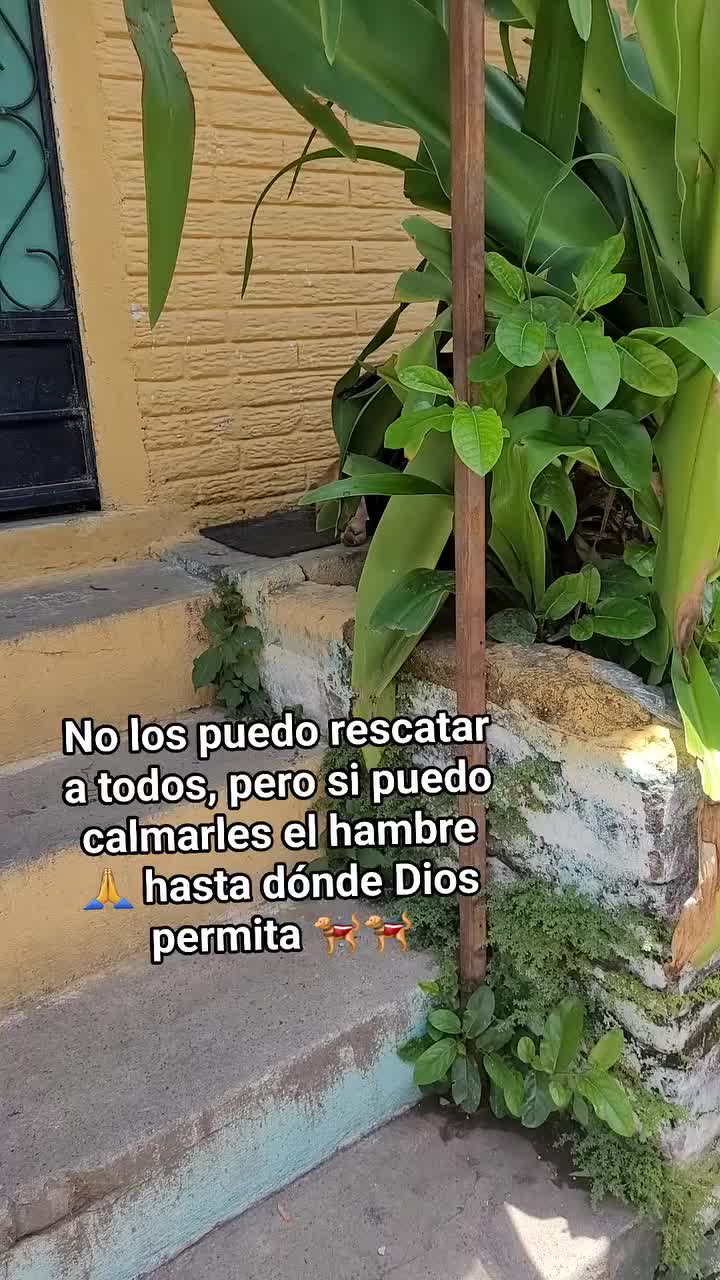 @𝕃𝕚𝕤𝕤 ℝ𝕖yes🇸🇻