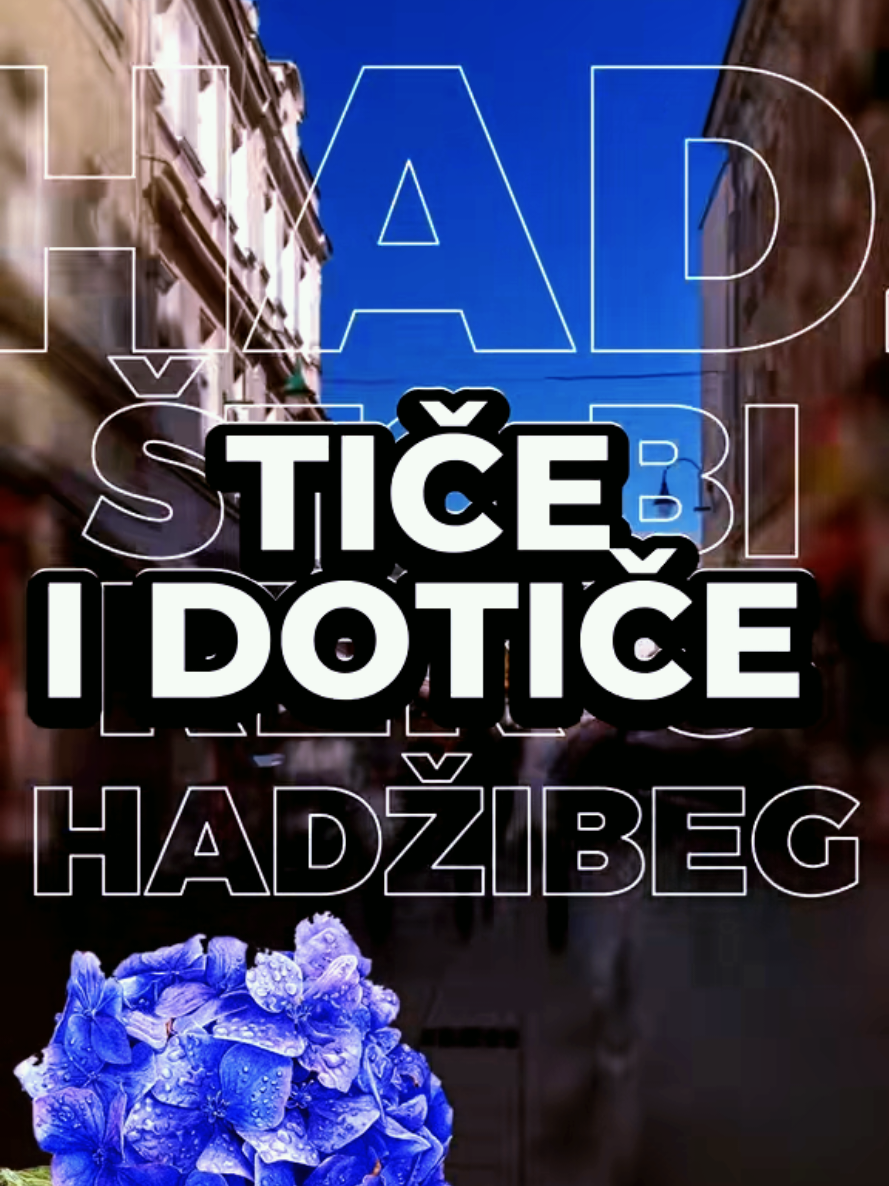 @Hadžibeg
