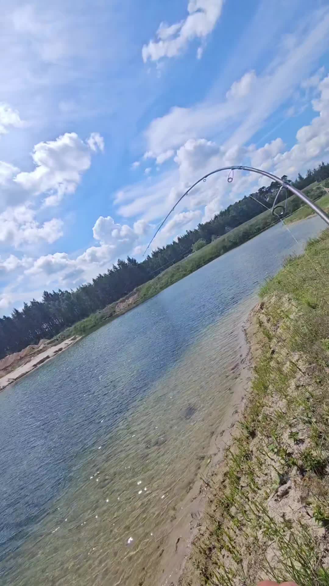 @mfly_lures