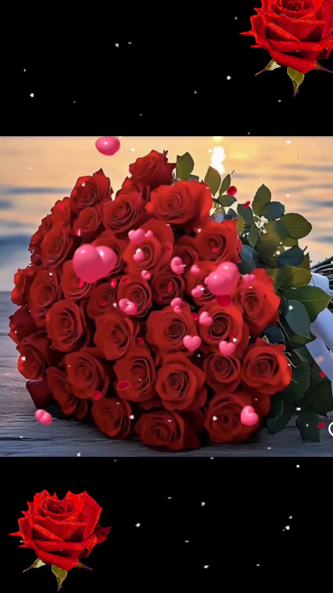 @🍃🌹INNU💃🏿