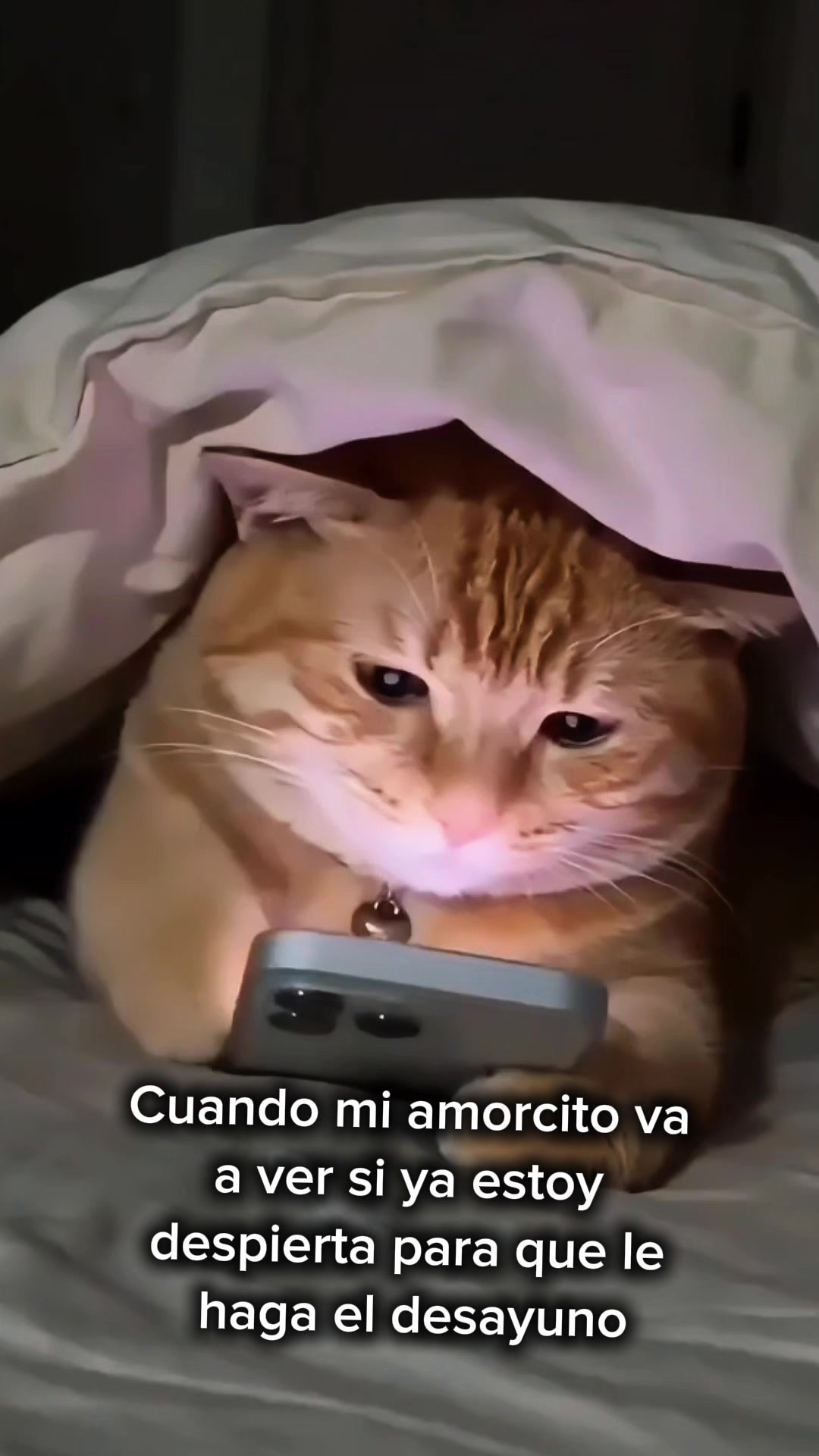 @Lore Cardenas