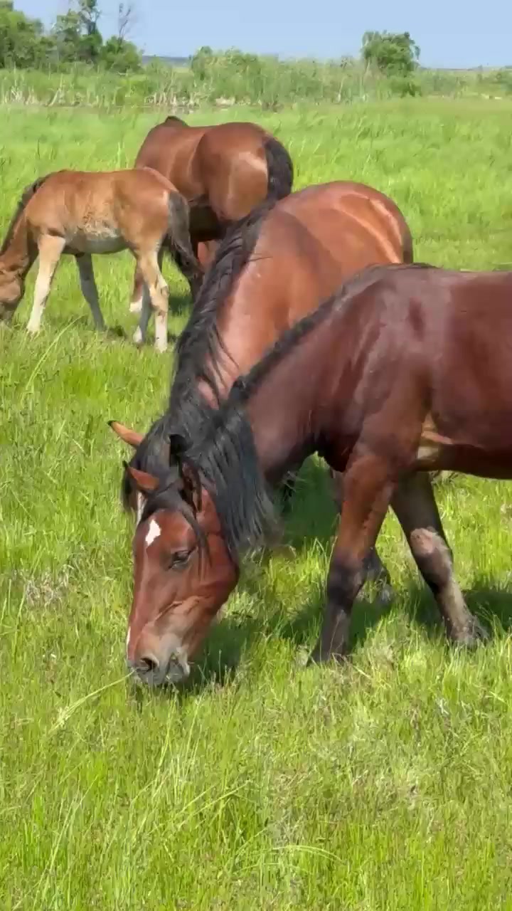 @Ольга03rus
