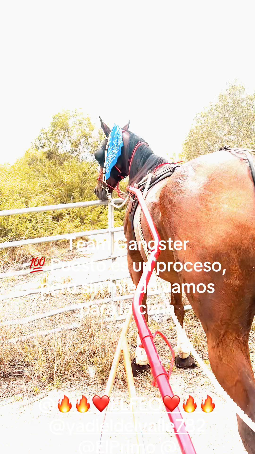 @Rey Coto