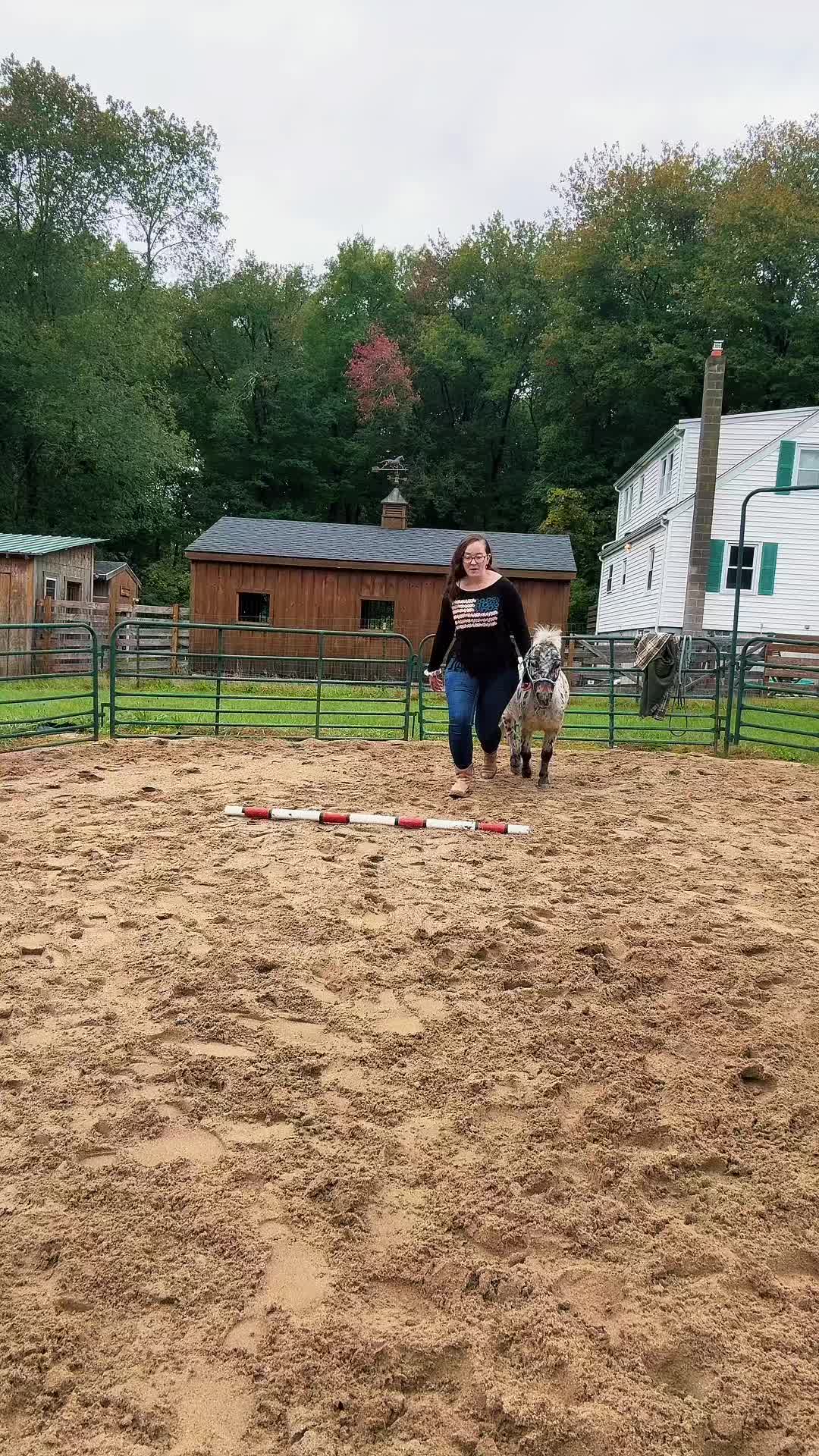 @Maxwell Farms