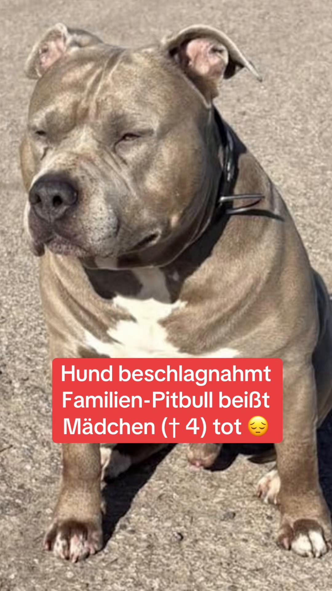 @BreakingNewsGermany3