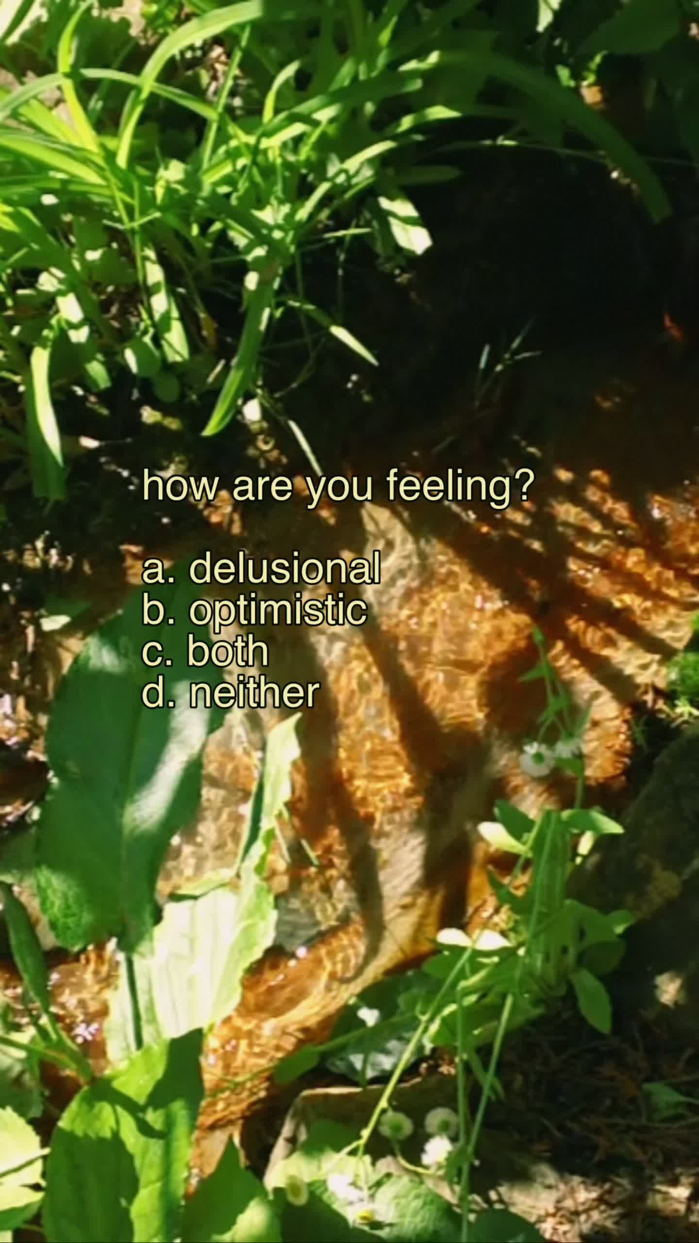 @paulina | delicate type