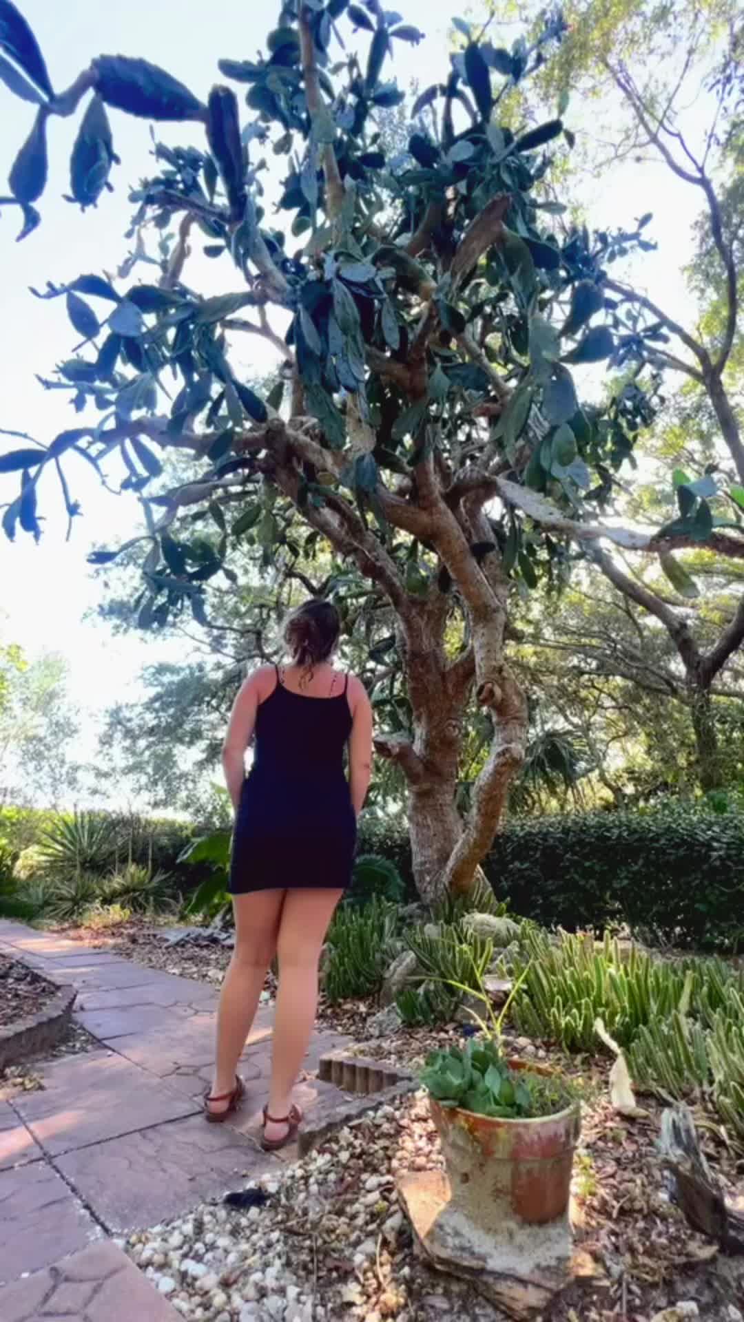 @jayviolajay