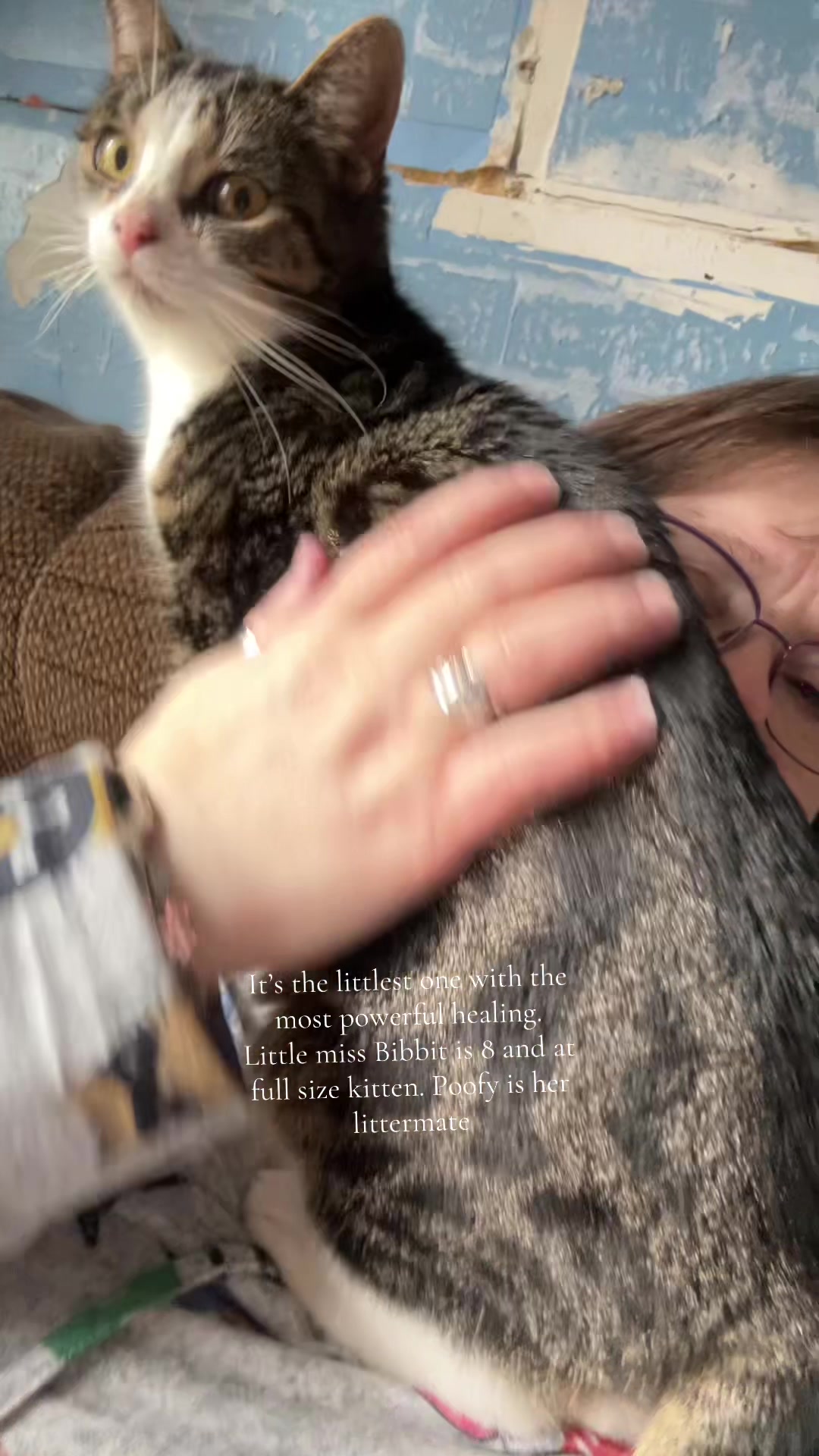 @steenercatmom
