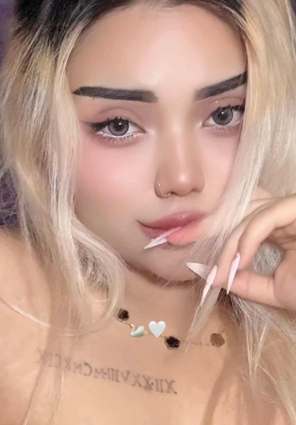 @rizadirextoner2