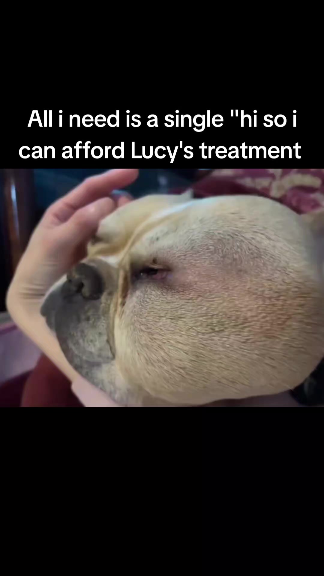@CancerFighterPup