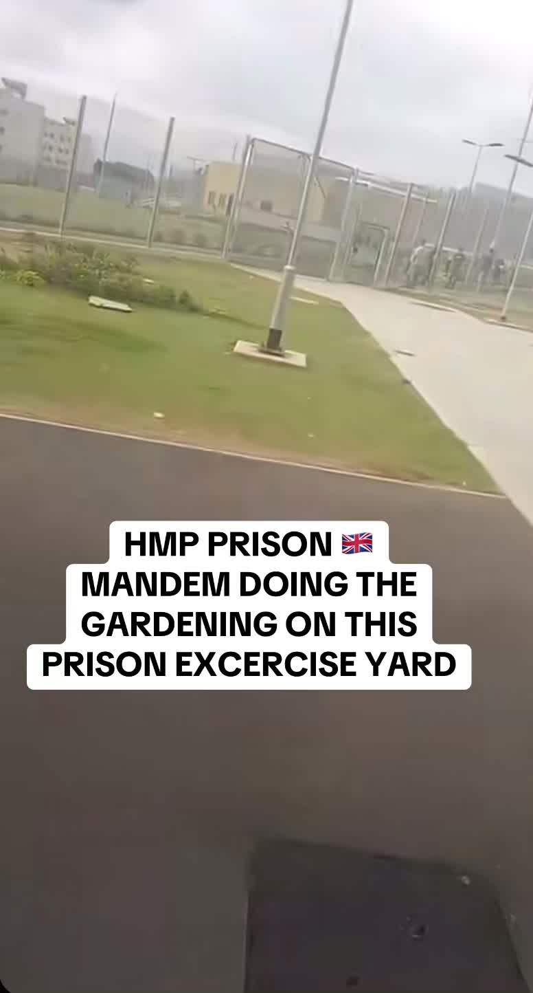 @drill.dph