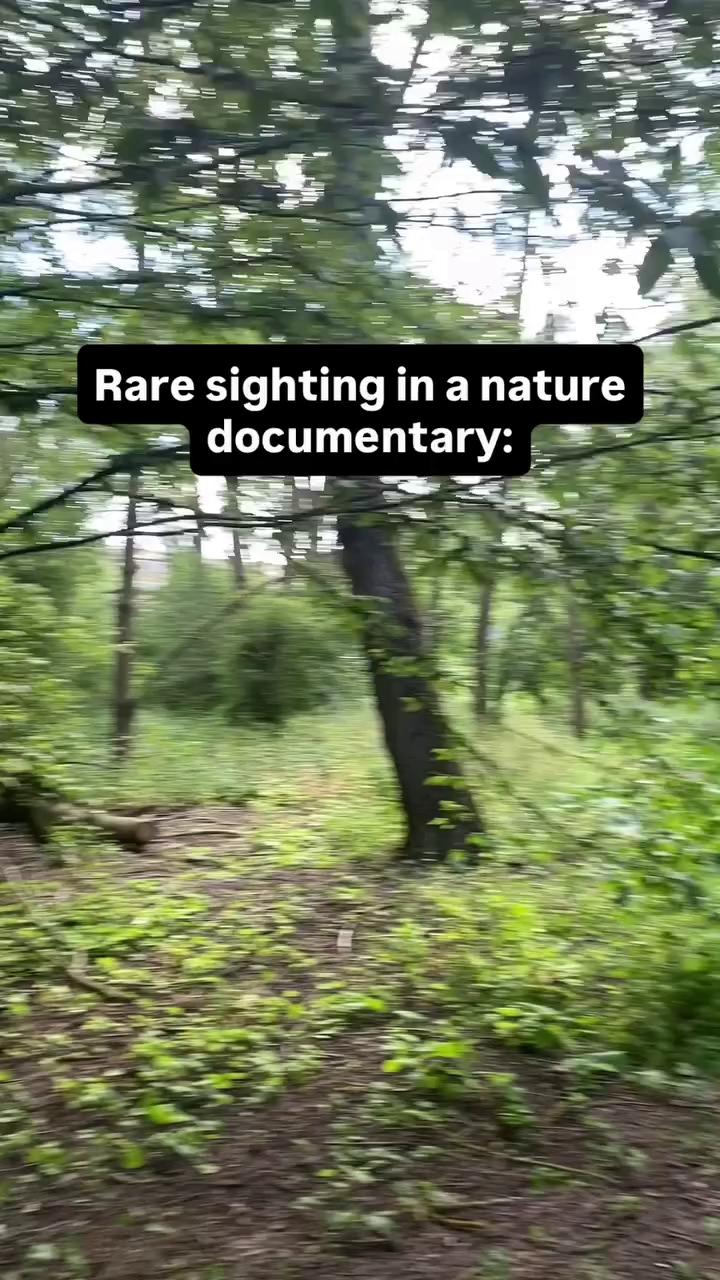 @ARU