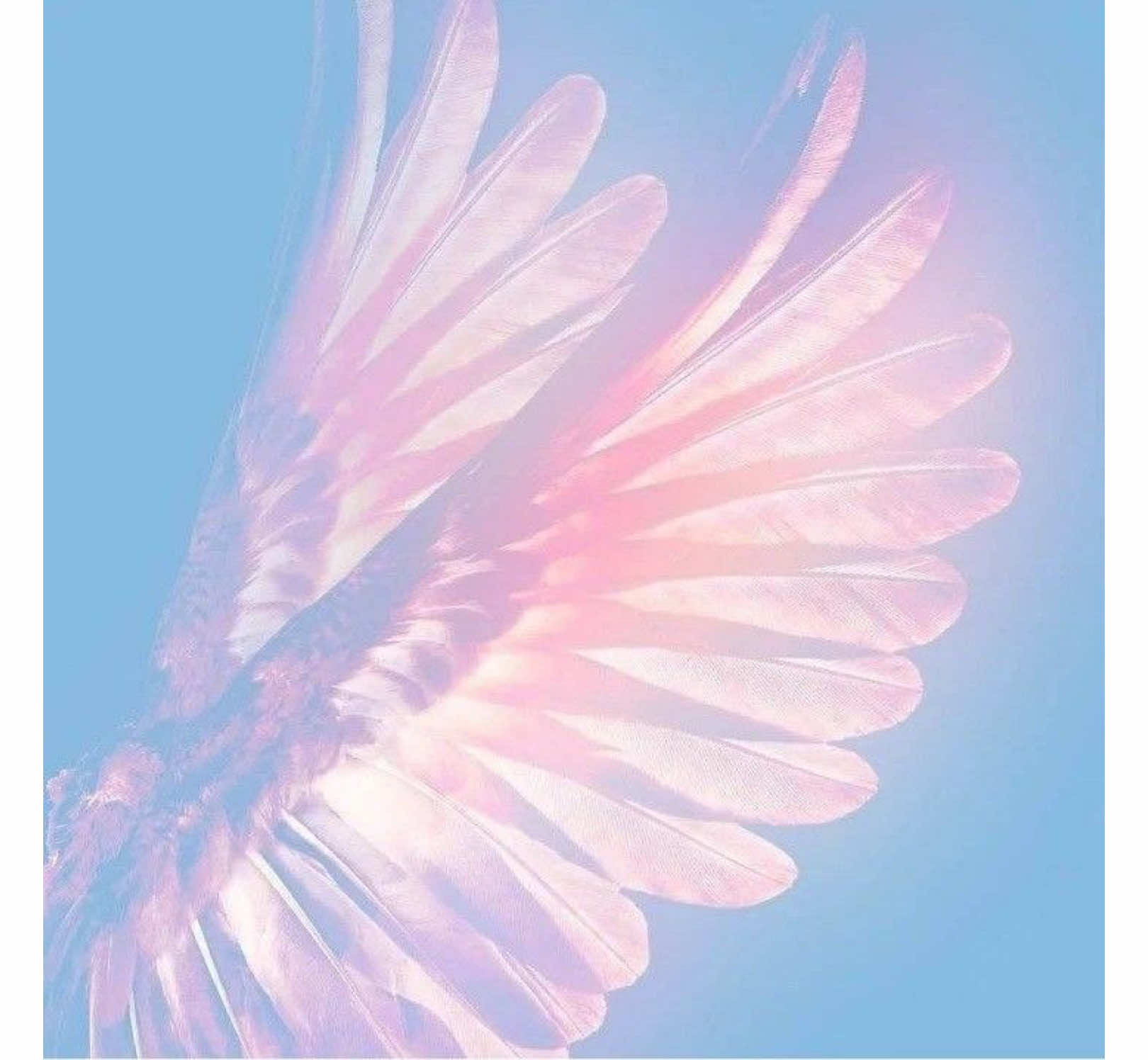 @. ݁ 𐔌 :§ᥙkі ! ˎ ゛⋆˙ও
