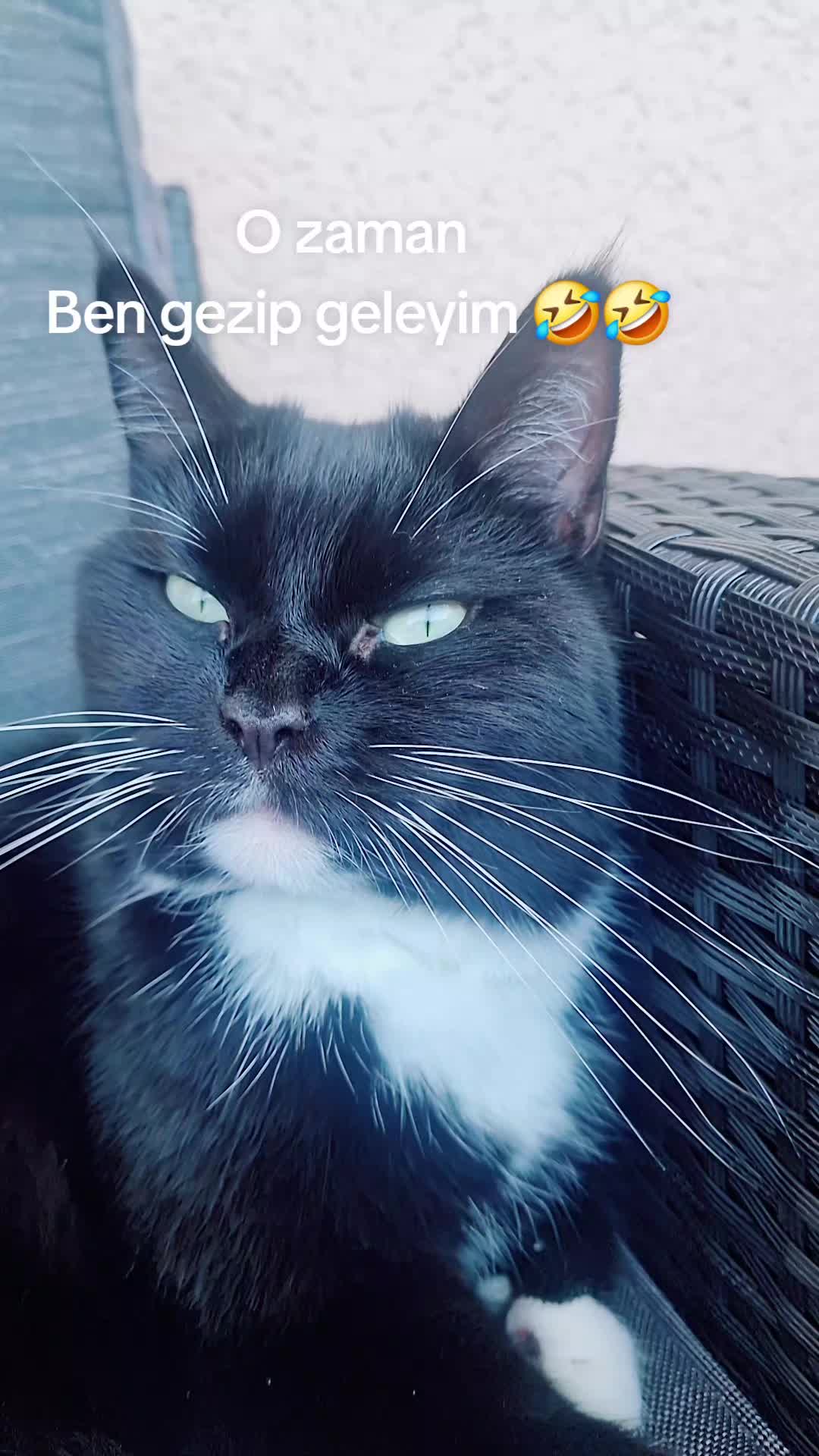 @Sevinç ceyda
