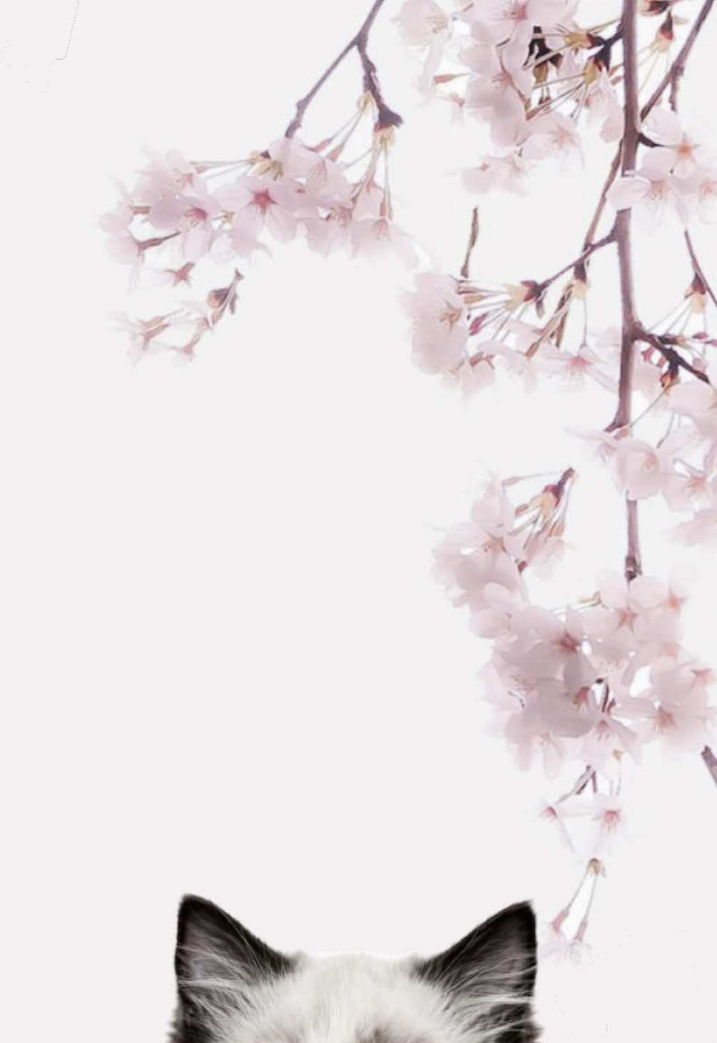 @𝓁𝑒𝑜𝓃𝒾𝑒