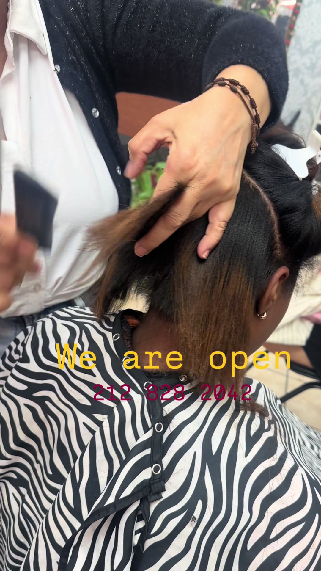 @lucysalon103