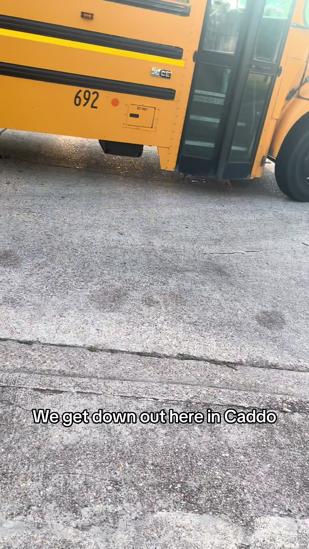 @Bluebirdbus302