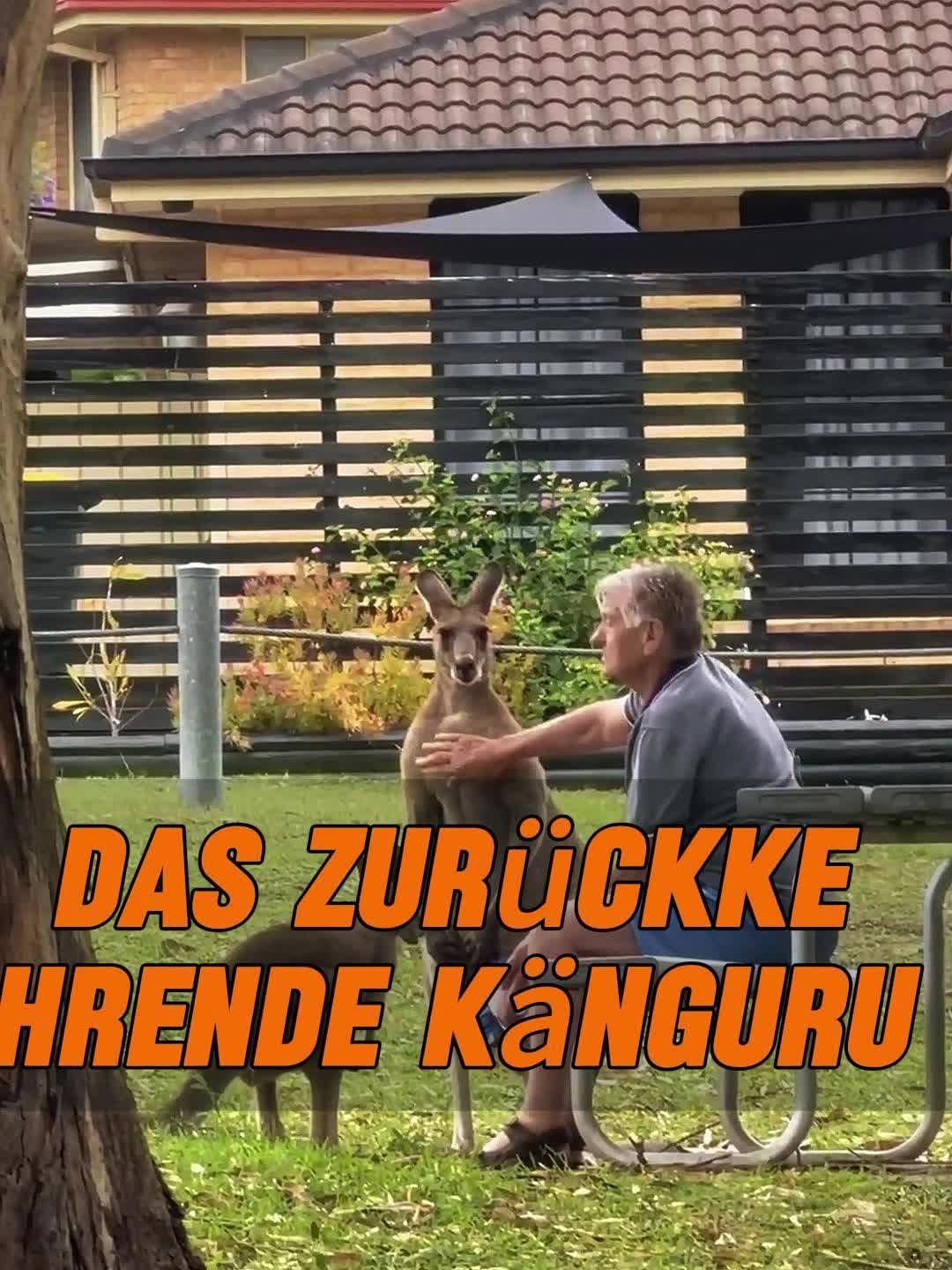 @Geo Tierwelt