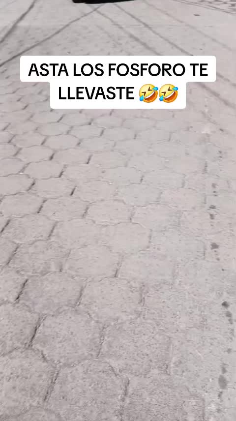 @🤴BYRON EL REY DE LOS LEONES🦁