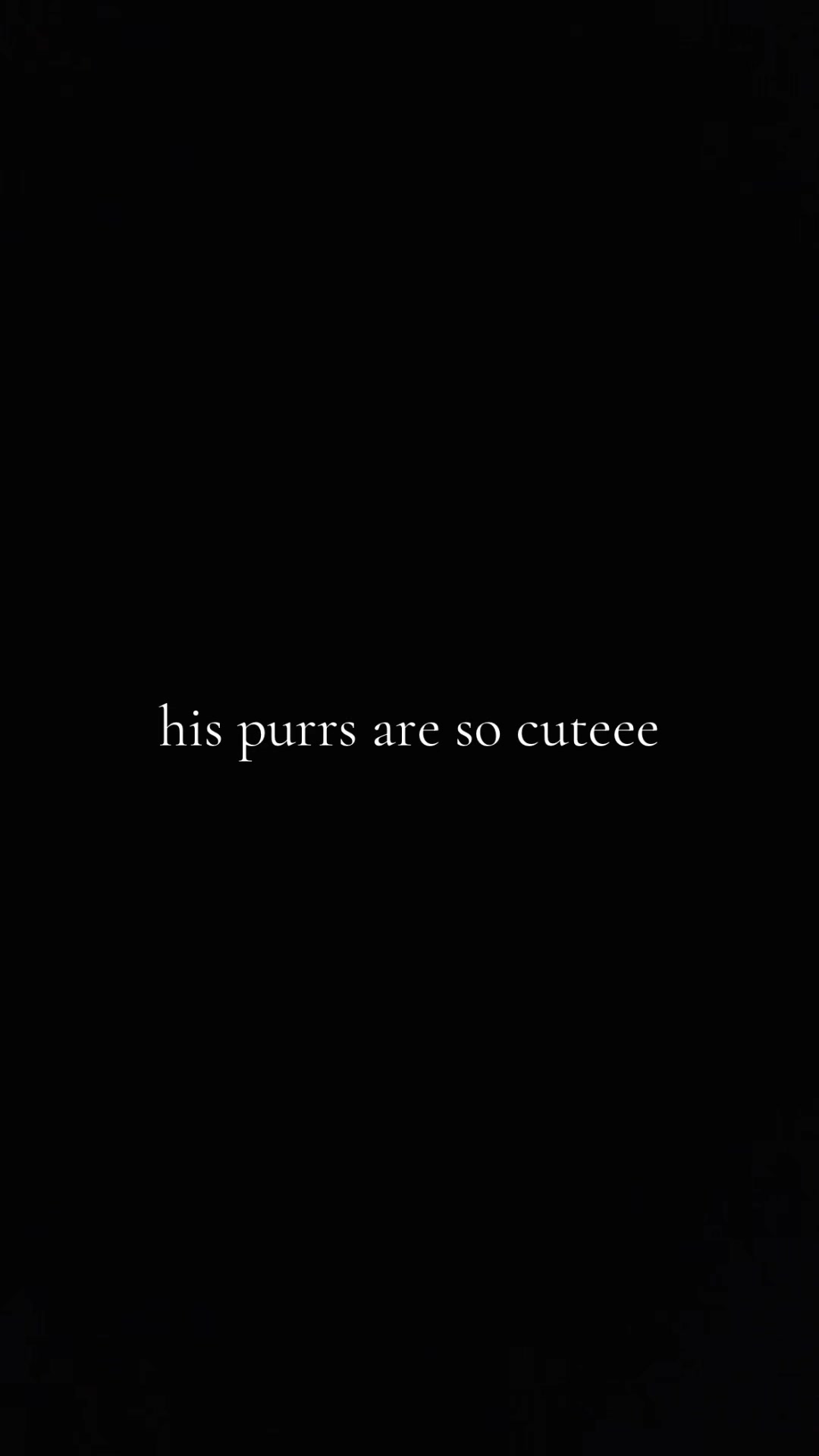 @Reaper🦇