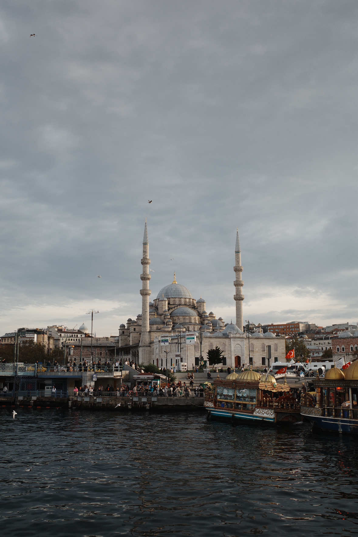@imwww