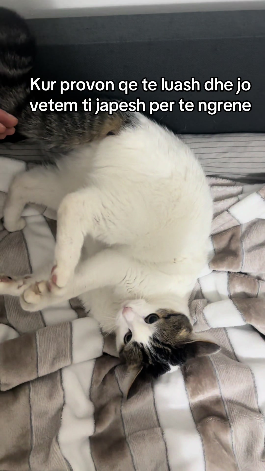 @Kiki