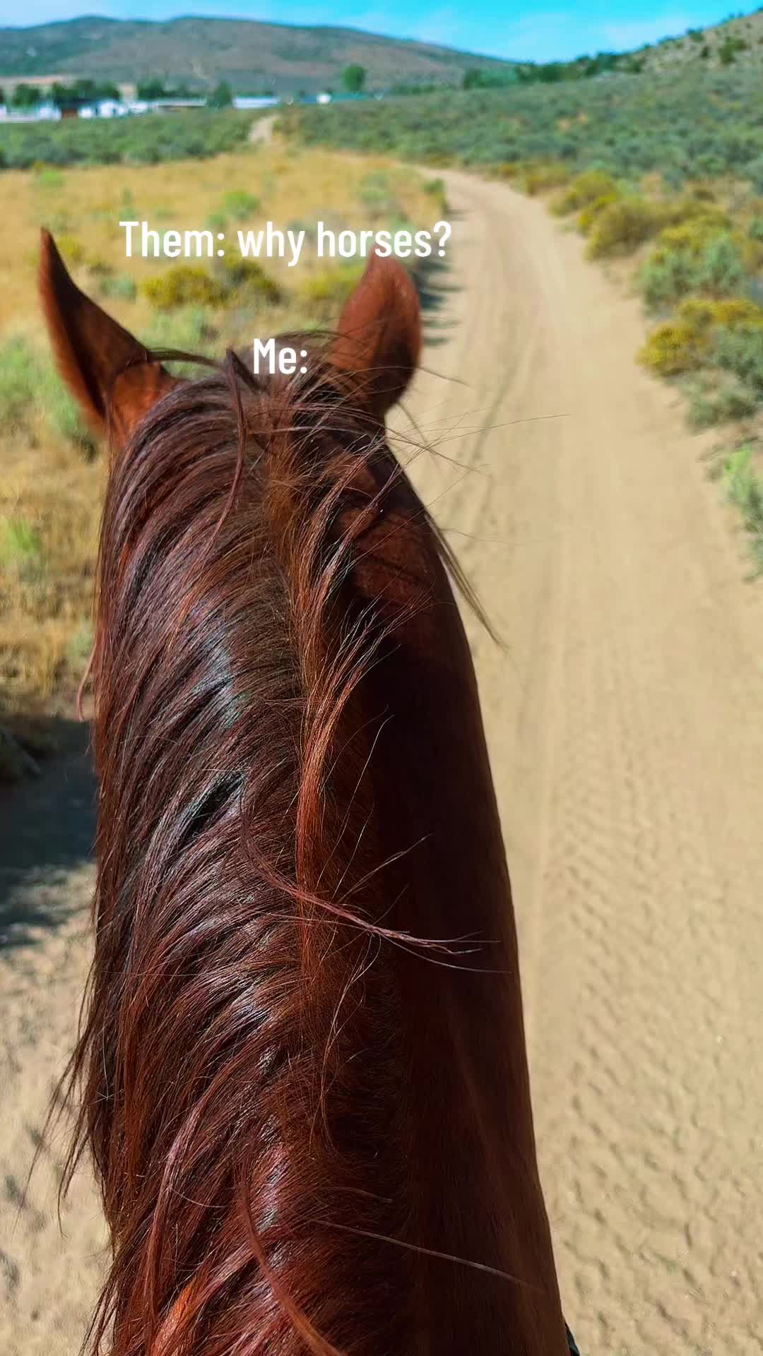 @hypergurli22