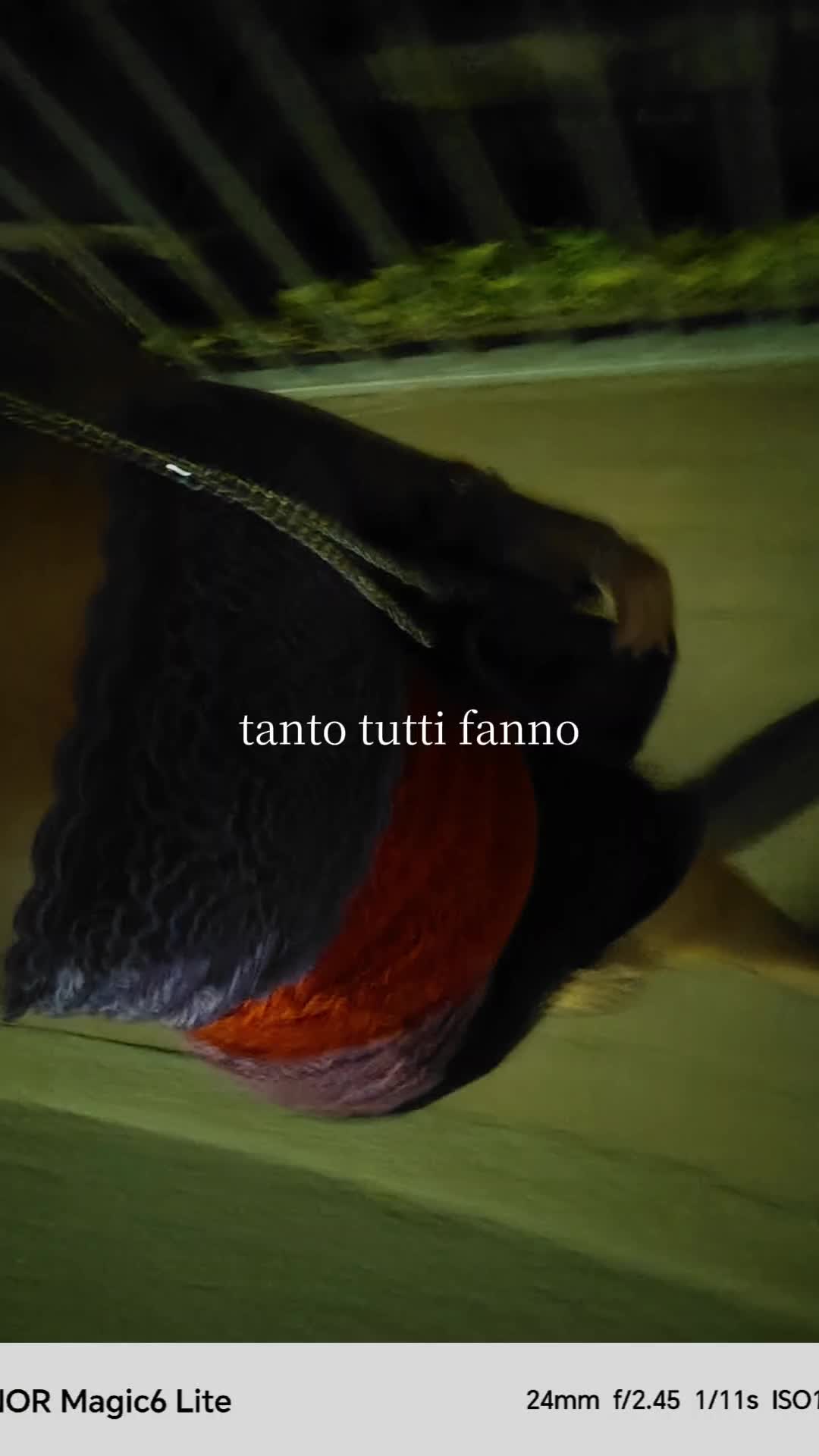 @Anna