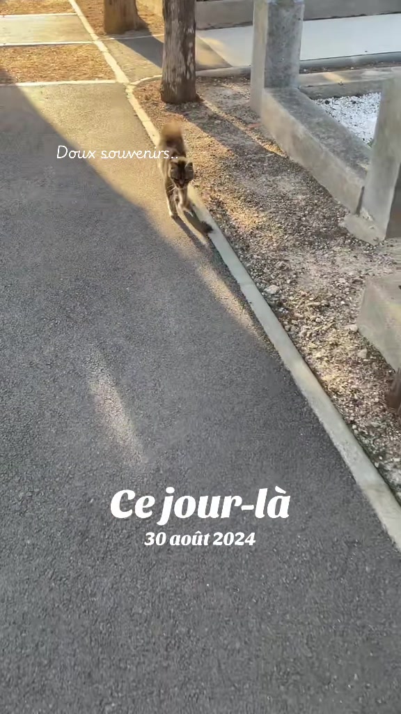 @LoTilia__