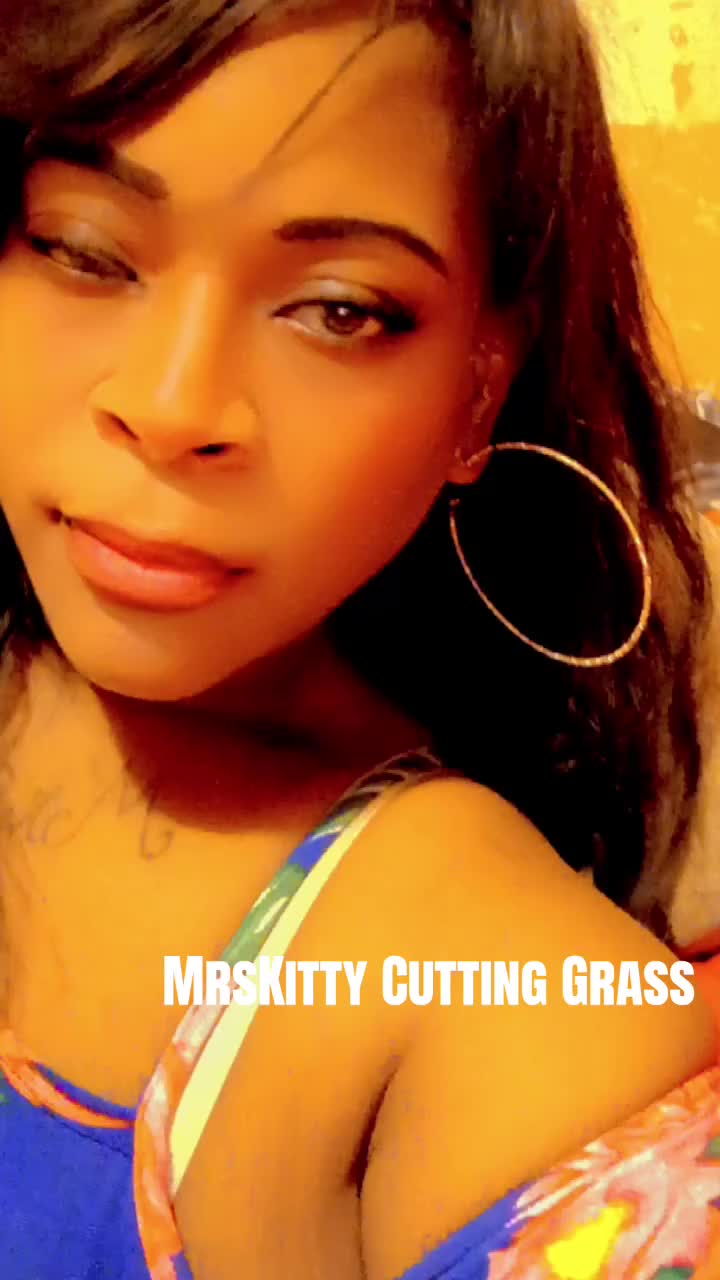 @MrsKitty