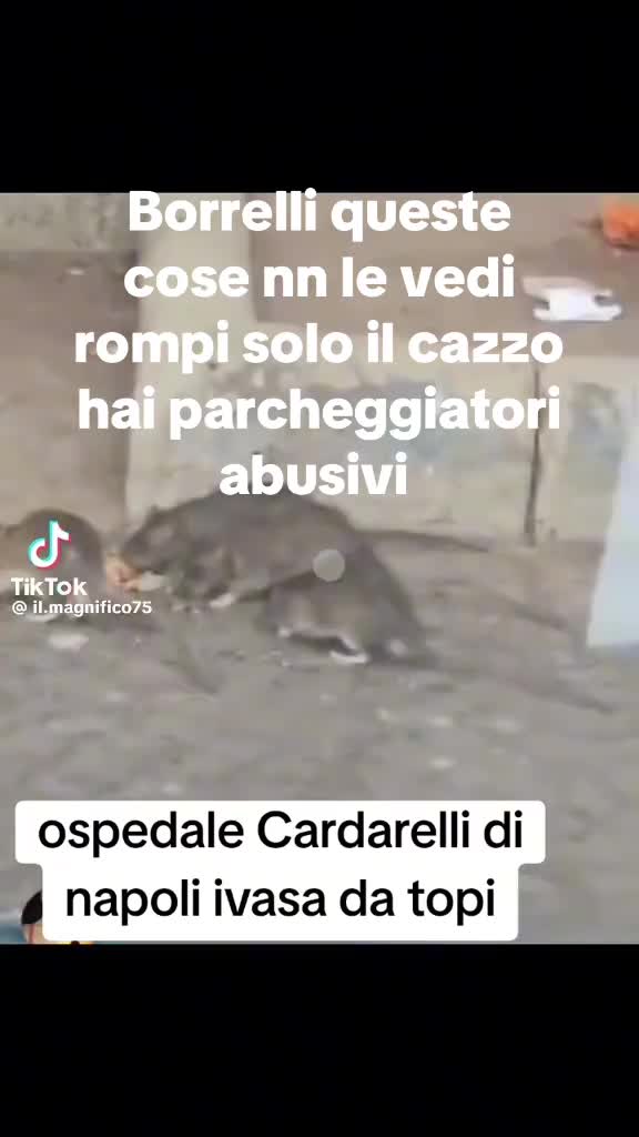 @Thor alessandra Simone