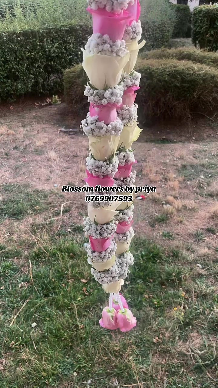 @Blossom_flowers_by_priya